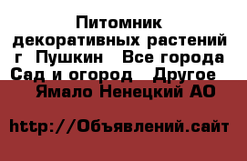 Питомник декоративных растений г. Пушкин - Все города Сад и огород » Другое   . Ямало-Ненецкий АО